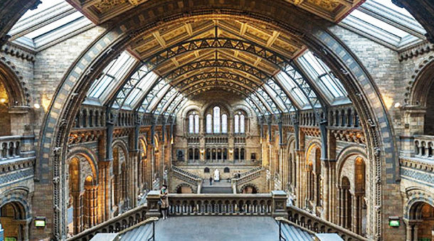 Natural History Museum - South London - Right Angle Corporate Events Venues